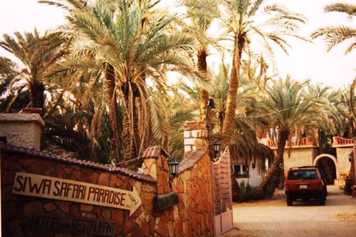Siwa Paradise Siwa Oasis 外观 照片