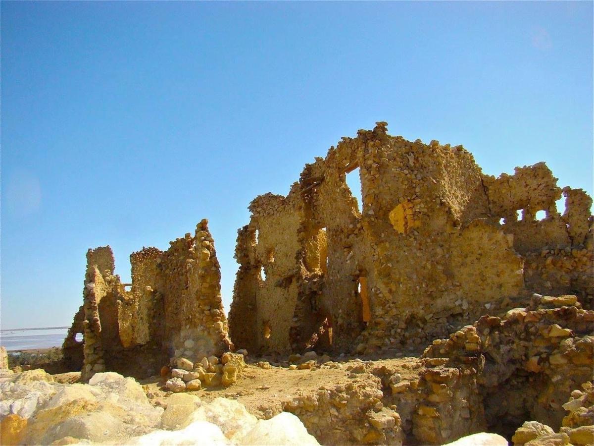 Siwa Paradise Siwa Oasis 外观 照片