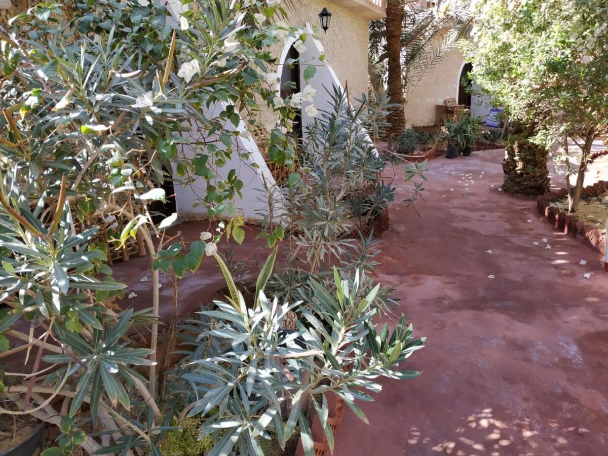 Siwa Paradise Siwa Oasis 外观 照片
