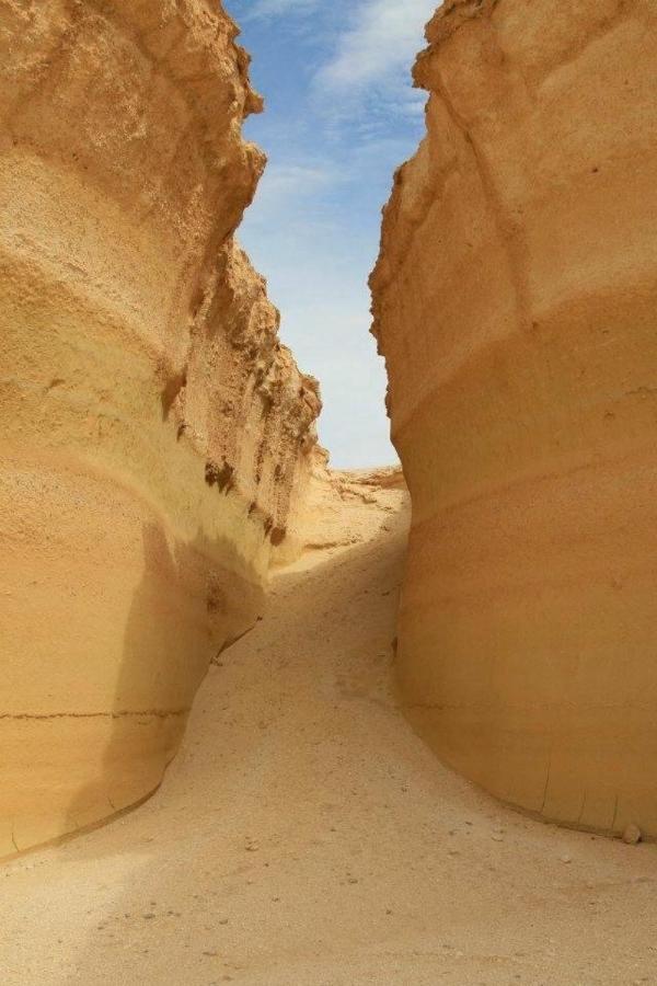 Siwa Paradise Siwa Oasis 外观 照片
