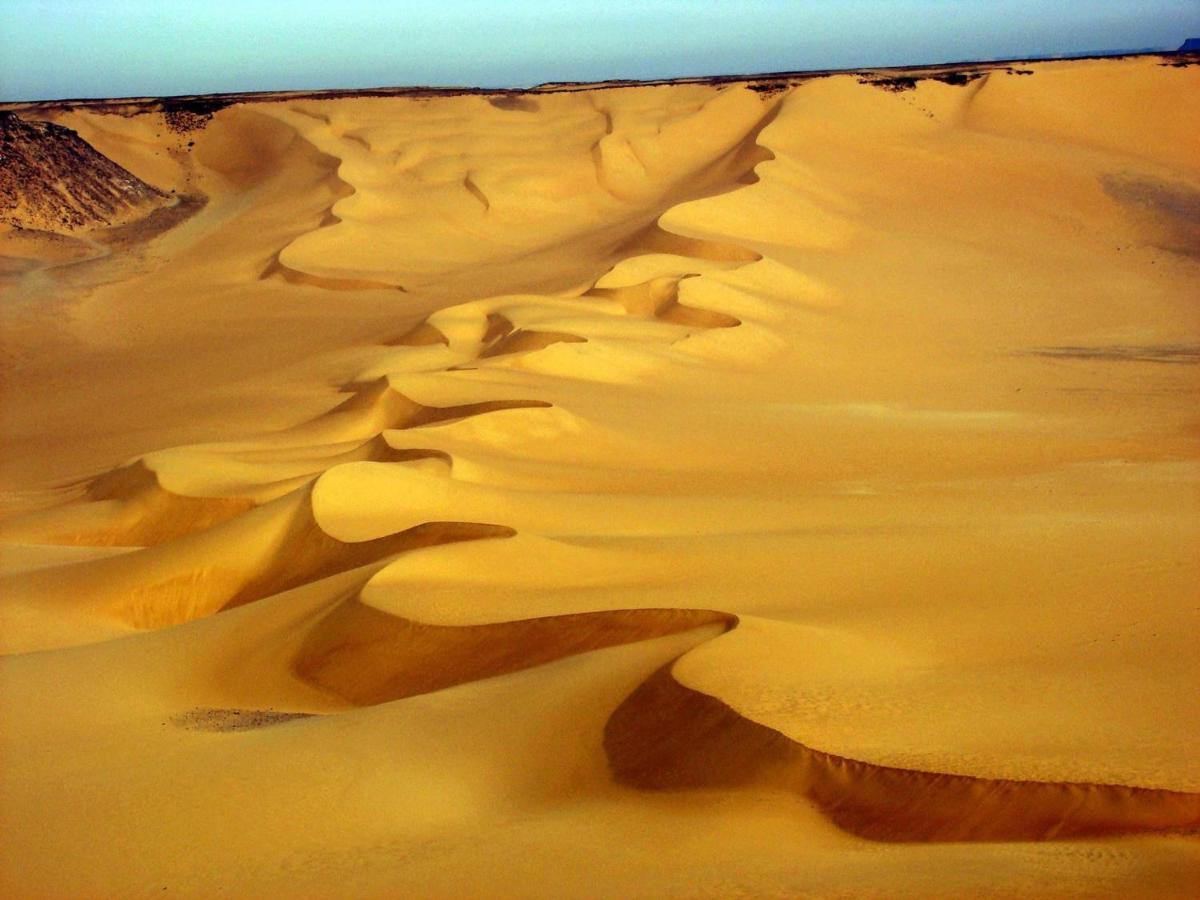 Siwa Paradise Siwa Oasis 外观 照片